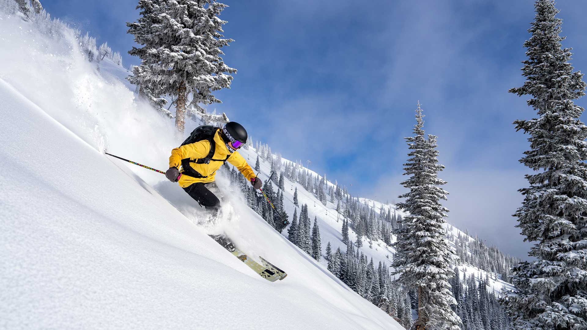 Ski grand boutique 39 Ski grand boutique -Ski grand boutique banner16